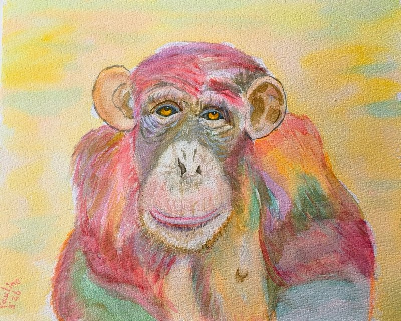 Thumbnail Pauline van der Does