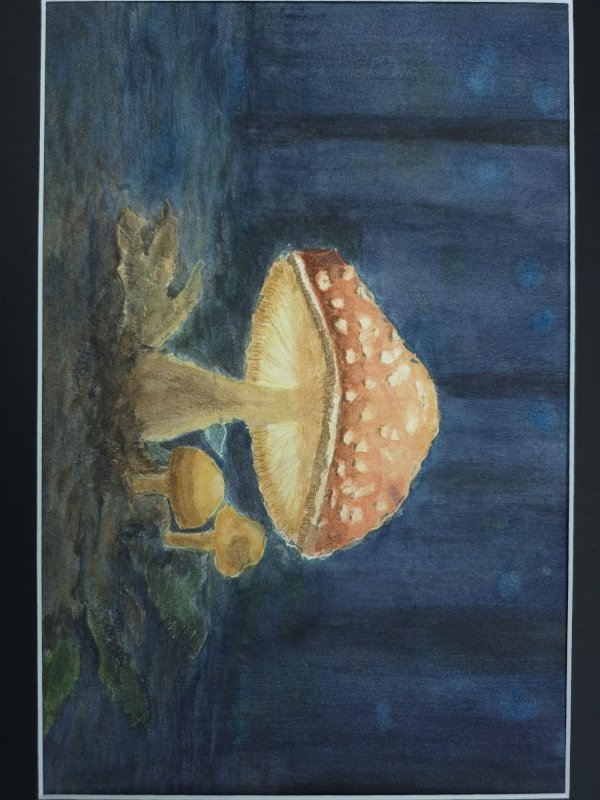 Thumbnail Sabine Reiszner