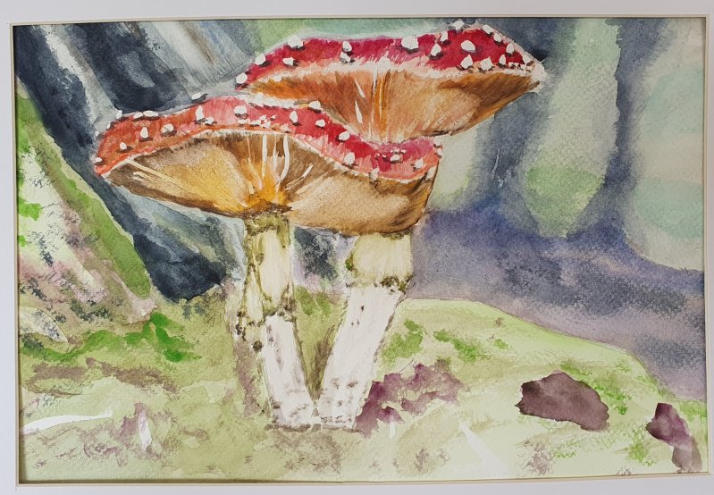 Thumbnail Mick Sleeboom